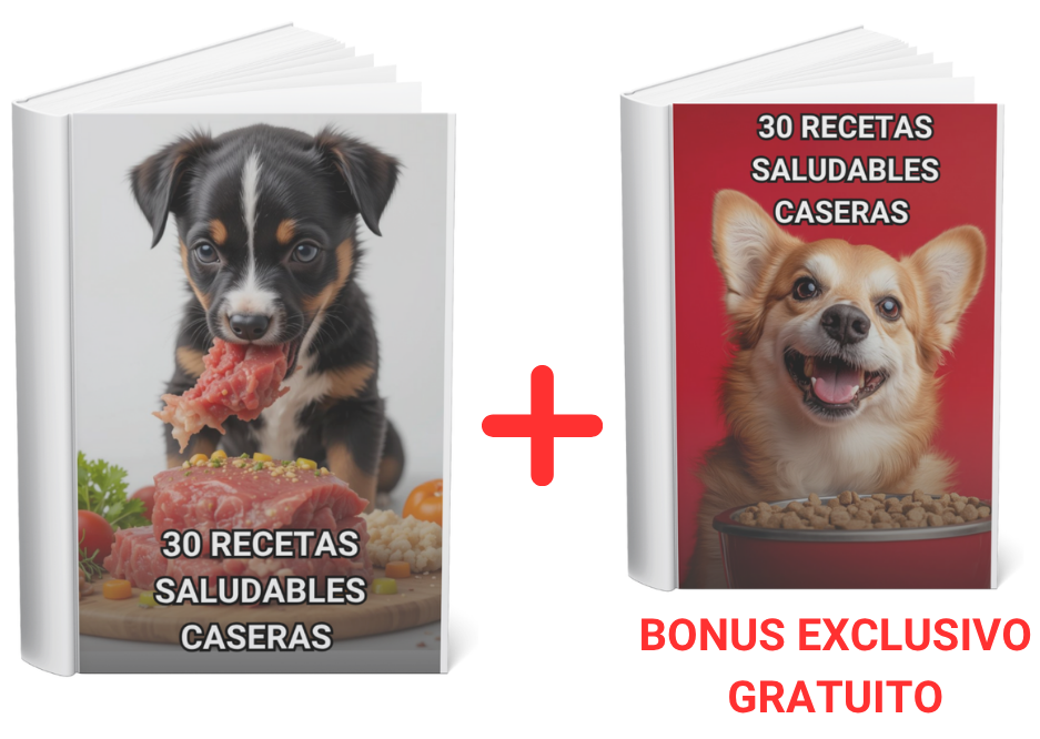 BONUS-EXCLUSIVO-GRATUITO-2_1